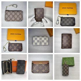 Etui na karty Louis Vuitton/Gucci