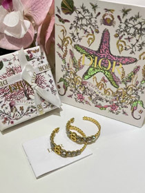 Dior Gold Horse Eye Crystal pszenicy łańcuch uszy obręcz kolczyki-3703