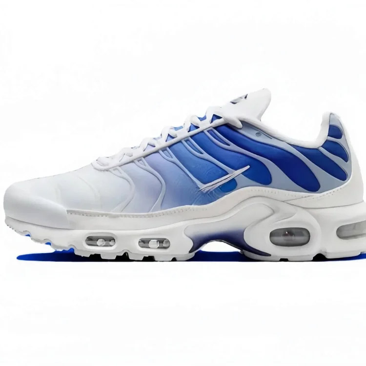 Nike Air Max Plus Classic Comfort Low-Top obuwie poduszczone powietrzem-2869